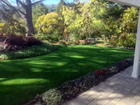 Artificial Turf with Pavers