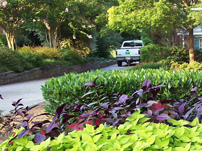 Lawn Maintenance, Acworth, GA