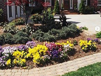 Spring Landscape Maintenance, Acworth, GA