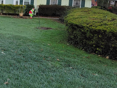 Springtime Landscaping, Acworth, GA