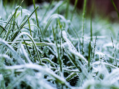 Winter Landscaping, Acworth, GA