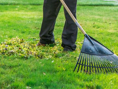 Lawn Care Services, Kennesaw, GA